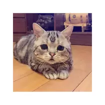 蓮見 リア
