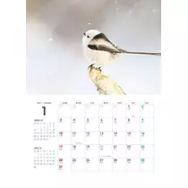 ひな