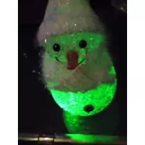 あかり