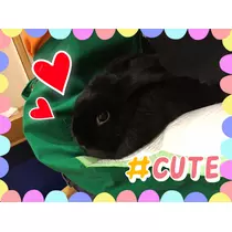 天羽 つばさ