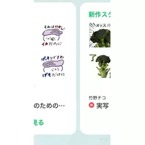 七星 夏純