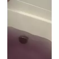 かえで