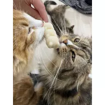 かほ