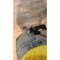 しほ