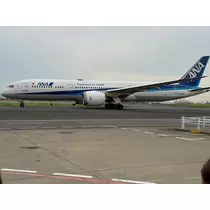 華宮 りりあ