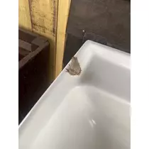 西園寺 ゆきみ