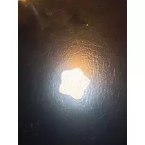 小川 真央