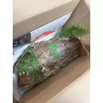 美咲 のばら
