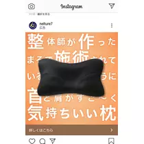 紫音