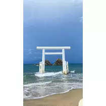 らん