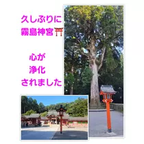 美穂