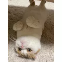 るな