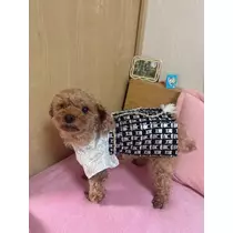 miki