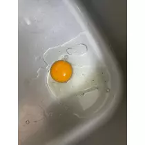 えりか