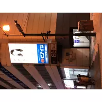 宝條 夏恋