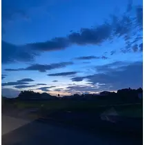 らん
