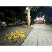 華宮 りりあ