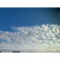ルル