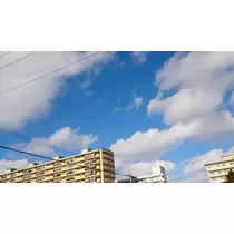 七星 夏純