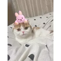 るな