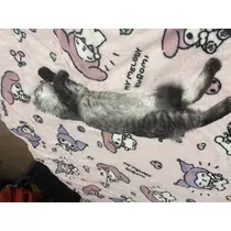 ゆう