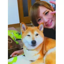 もも