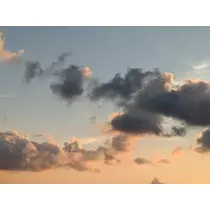 みこと