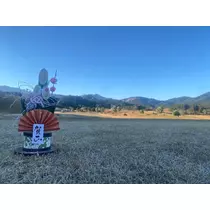 薫