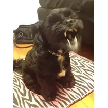 りょう