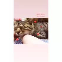 るな