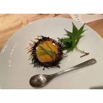 一条 みさき