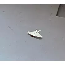 るな