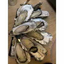 ひかり