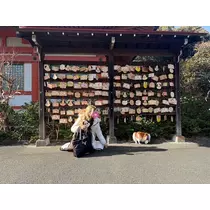 あいら
