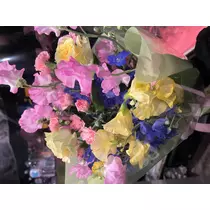 つばさ