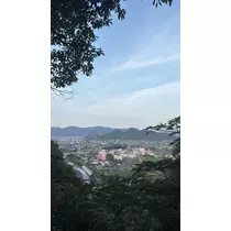 樹里