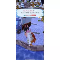 NATSUMI
