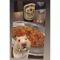 七星 夏純