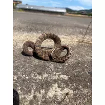 なみ