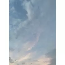 あおい