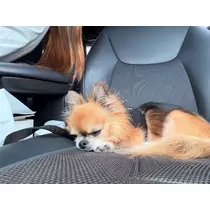 めい