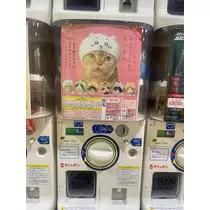 三上 胡桃