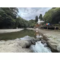 あみ