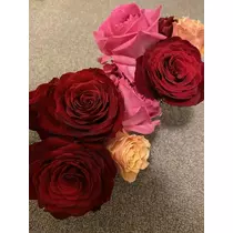 白石 愛莉