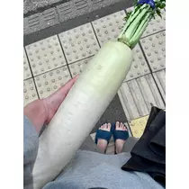 みずき