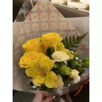 白石 愛莉