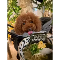 美好 もも