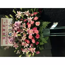 宝條 夏恋