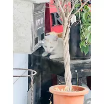 あ