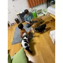 桐島 りゅう
